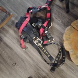 Brand New Harness