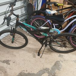 Next Gauntlet  bike 24"