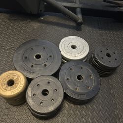 Weights Perfect For Custom Barbells