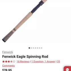 Fenwick rod 