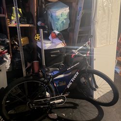 Big Flyer 29 Inch W Maxxis