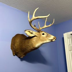 Beautiful wall art must take both selling together not separate...