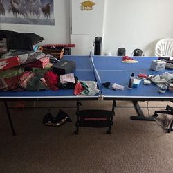 Full Size Ping Pong Table