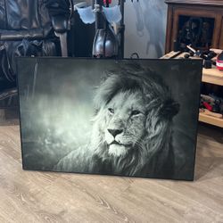 Beautiful Black And White Lion Art
