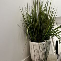 Fake Plant