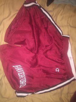 Haverford Champion Shorts