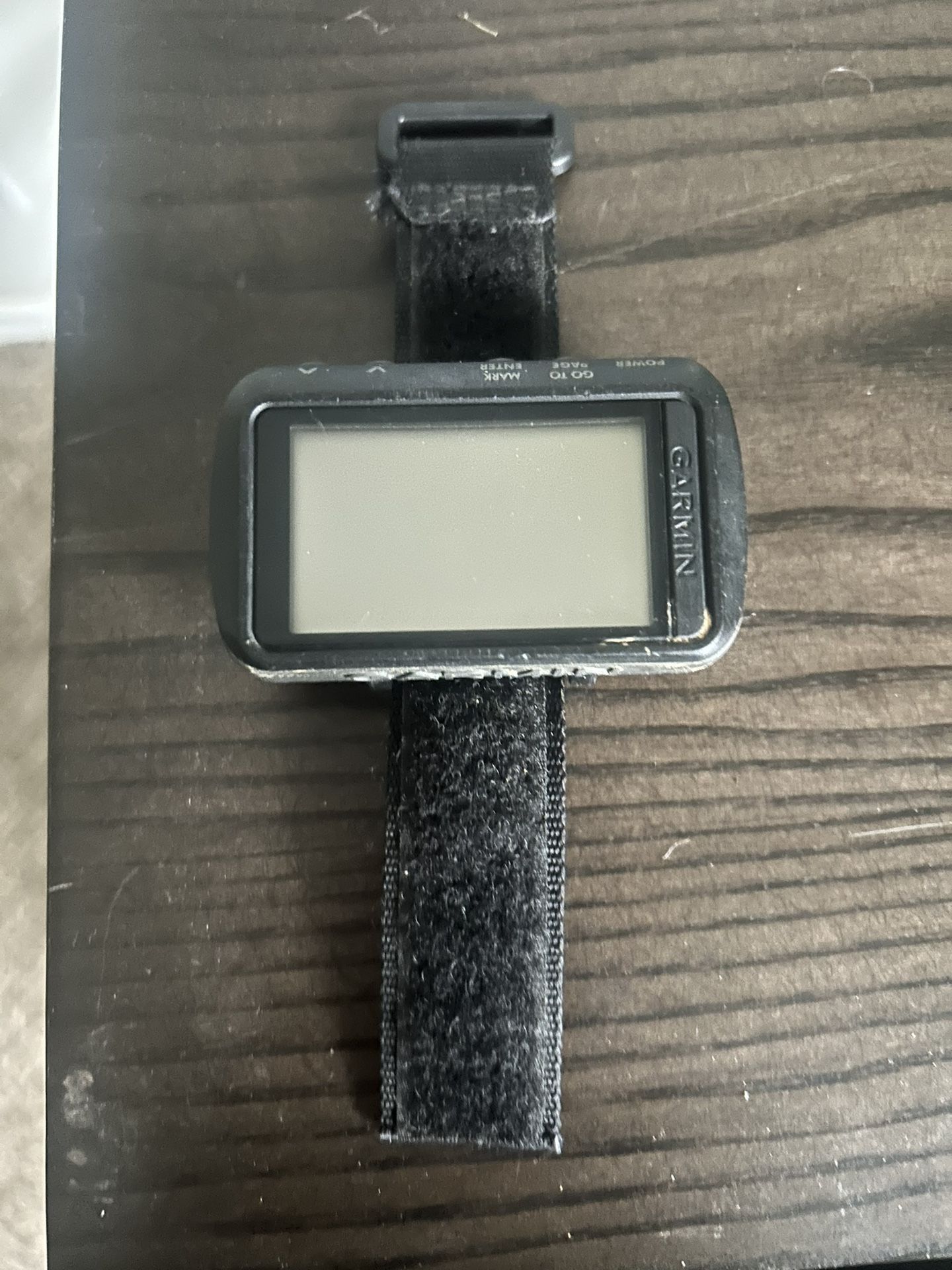 Garmin Foretrex 601