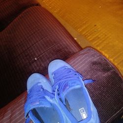 Pumas, Aadias, Steve Madden, Rainbow, Gym Shoes With Differenent Colors.