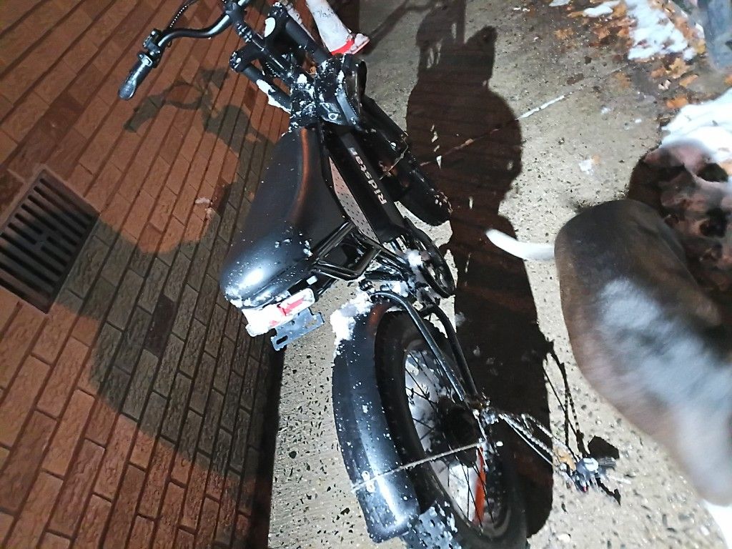 Ridstar E-Bike – Needs Repair – Project Bike for Sale in Newark, NJ ...