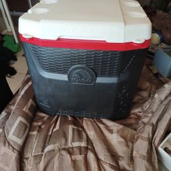 IGLOO WALK BEHIND COOLER