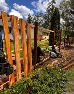 Cedar Fence Panels 6ft”