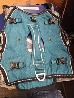 Dog harness