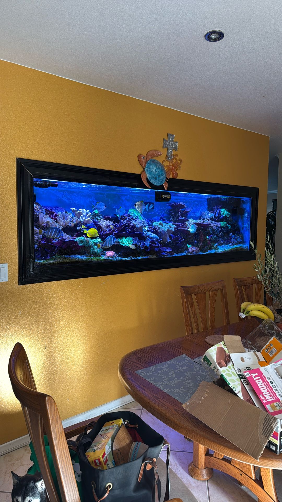 Decorative Reeftank 240 Gallons 8ft X 2ft X 2ft