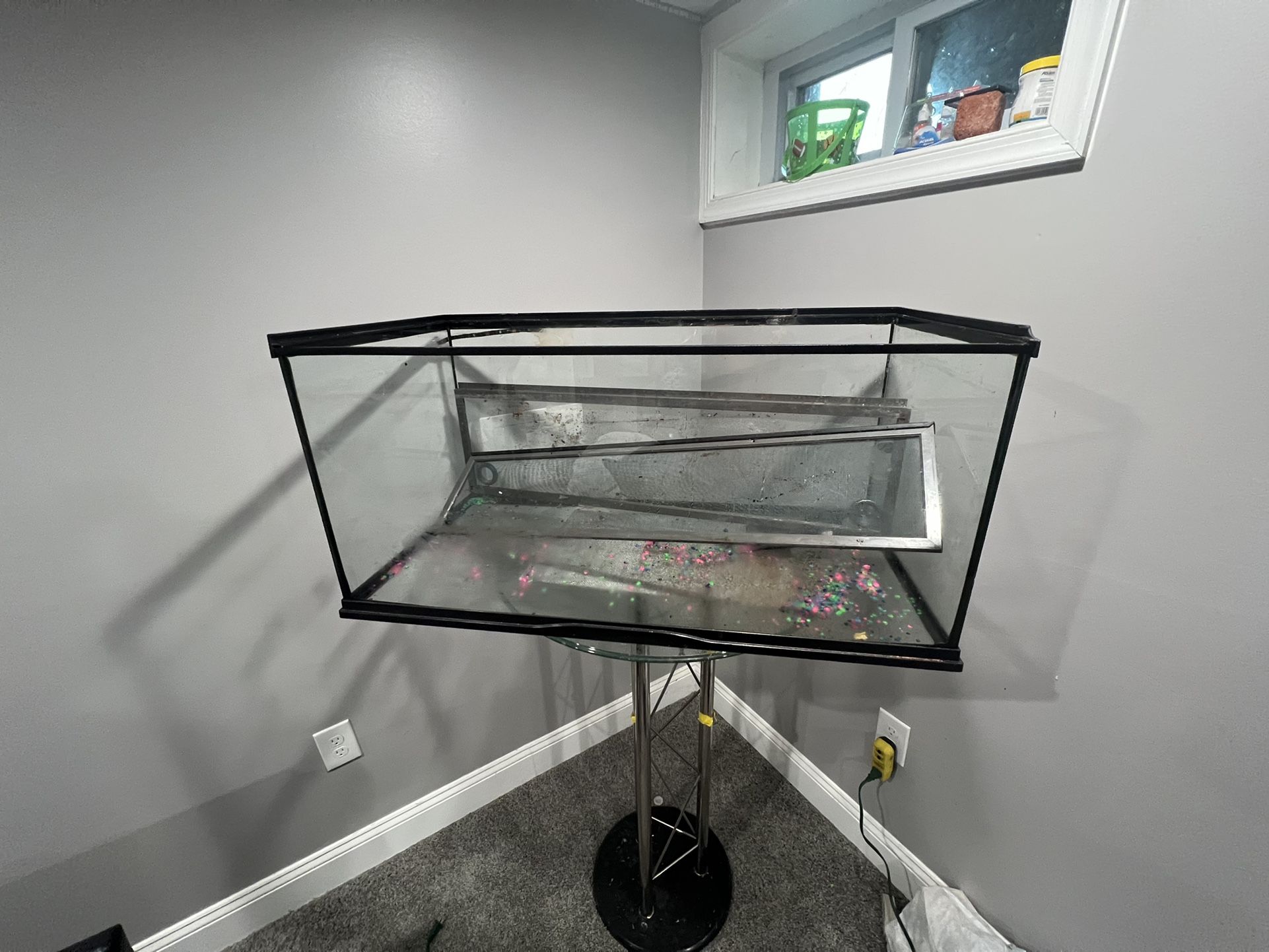 Fish Tank 