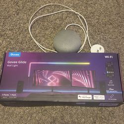 Govee Glide Wall Light 4+1 and Google Home Mini
