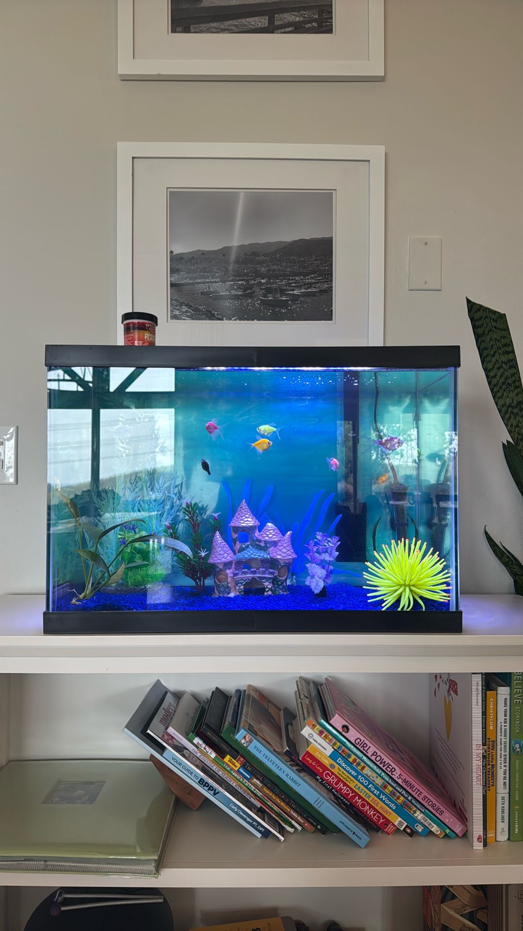 Glow Fish And Tank