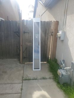 Doogie Door