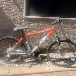Mountain Bike