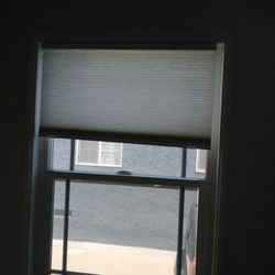 Shade Window