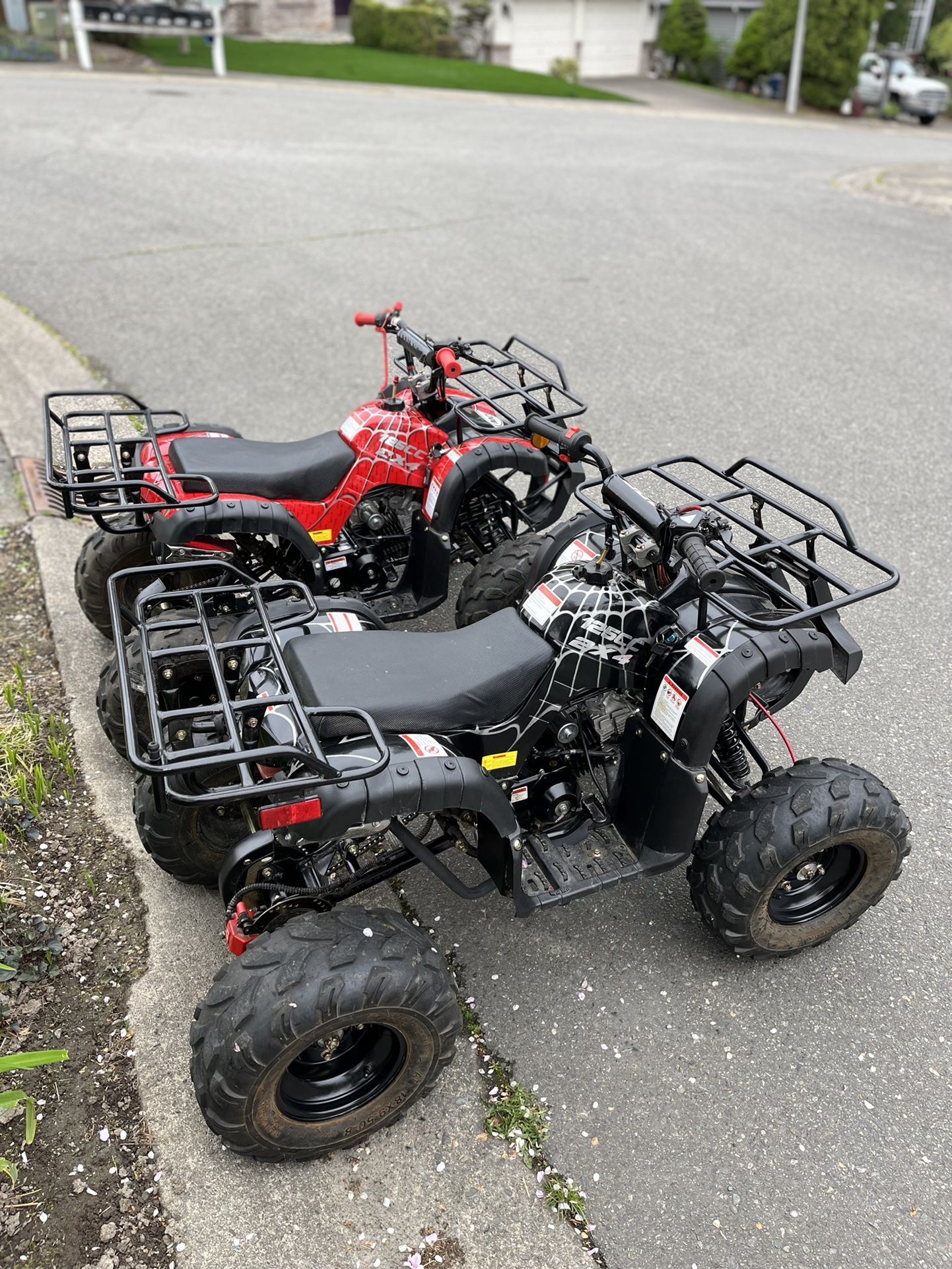 tao tao 125cc