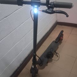 Adult Scooter