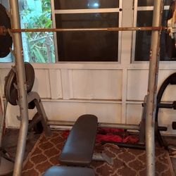 Weight Rack, Bench, Olympic Bar, And Olympic Weights