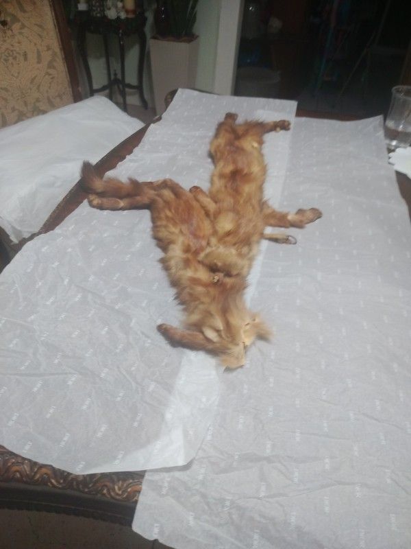 Vintage Women's Mink Shoulder Wrap Stole Brown Fur Scarf Collar Full Pelts