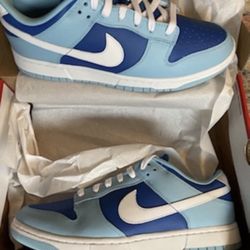 Nike dunk Argon 10.5 Brand New 