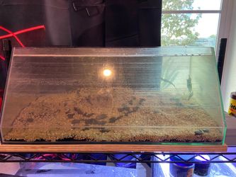 Fish tank stuff