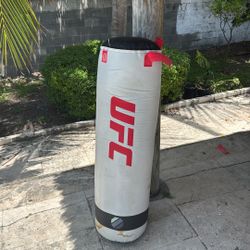 UFC Punching Bag 