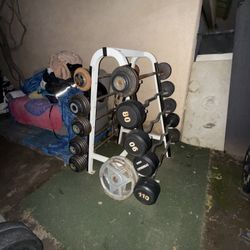 Straight Bars An Curl Bars 