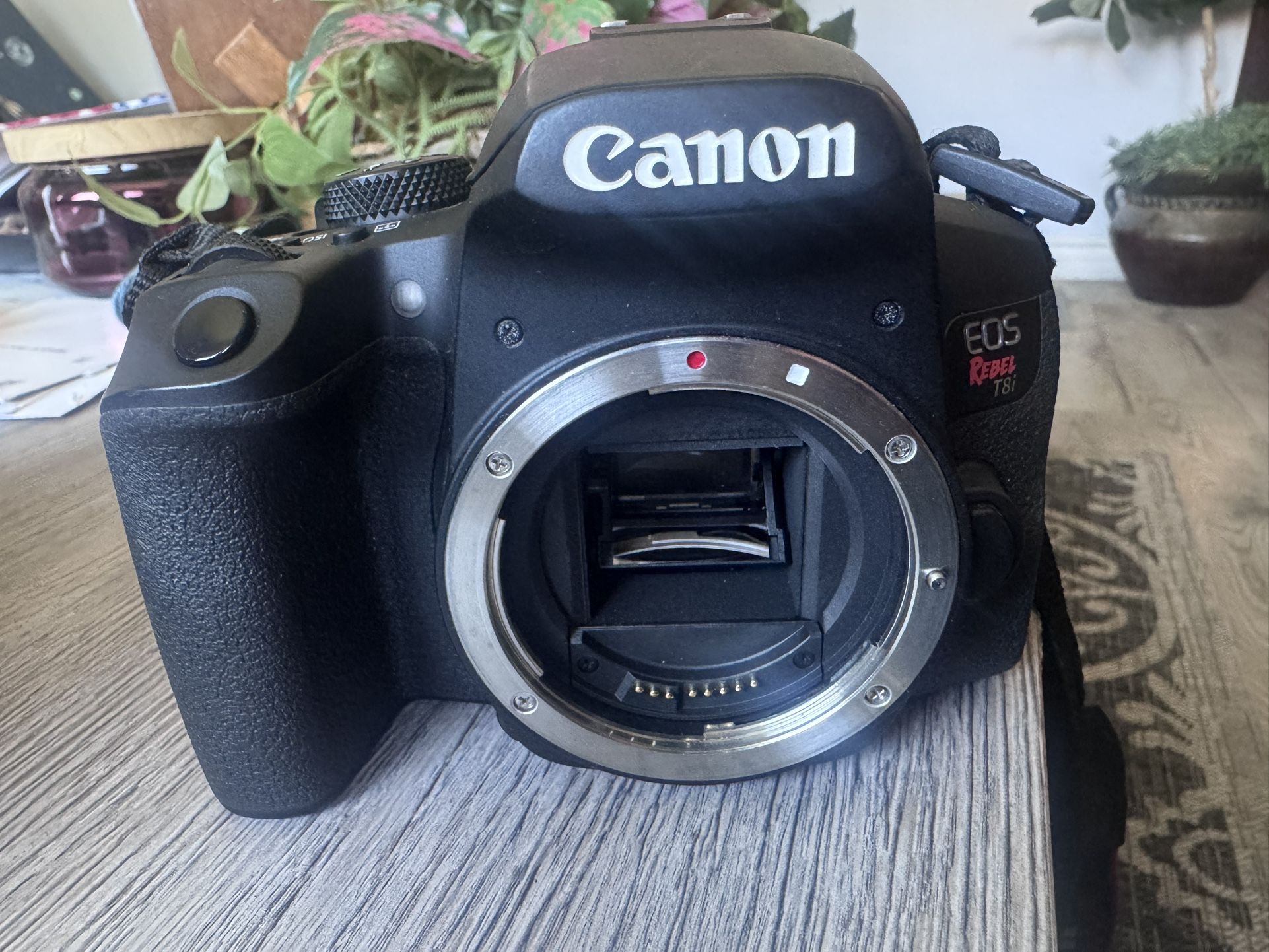 Canon Camera Canon Rebel T8i DSLR Camera