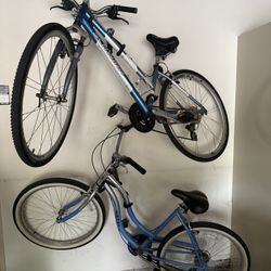 Beach Cruiser And Schwinn Mountain Bike 