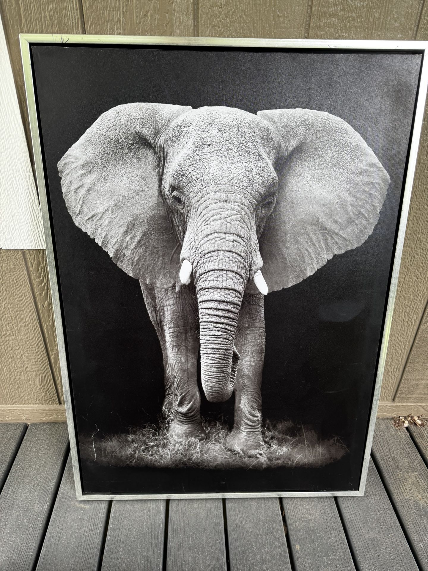 Wall Decor/Artwork