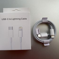 Apple iPhone Charger