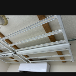 Have 16 luxx 645 lights left