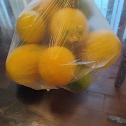 Free Bags of Lemons/ Bolsas Gratis De Limones.