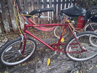 Bicycle