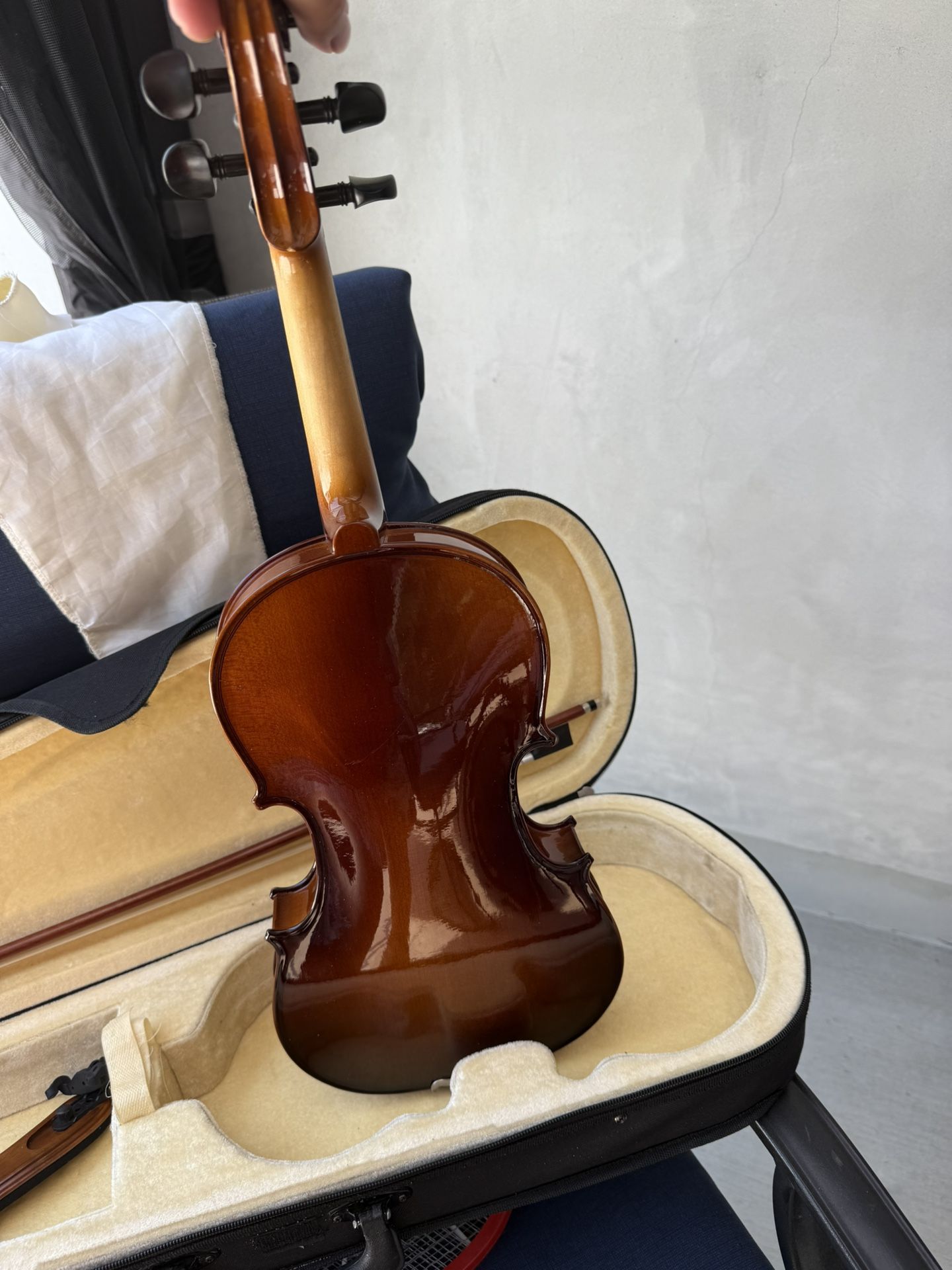 violin