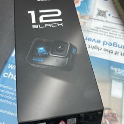 Go Pro 12 Black