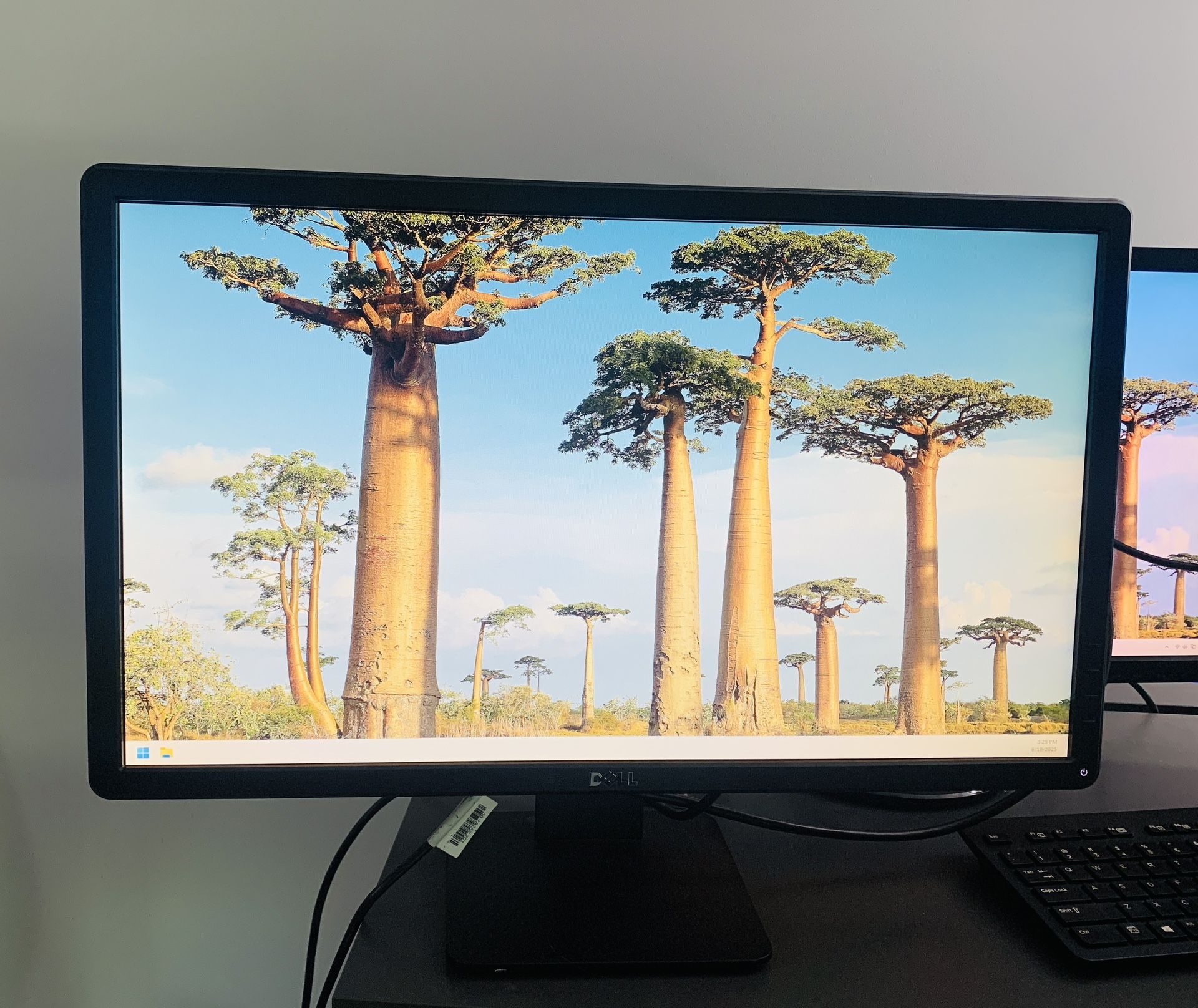 24" DELL Monitor