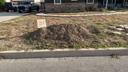 Free dirt
