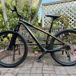 JAVA DELTA Mountain Bike Carbon - S