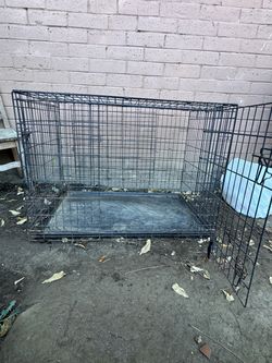 Large  Crate with Tray