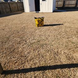 Bow Target, Yellow Jacket YJ 350