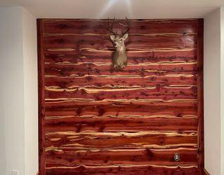 BAND DOORS AND MORE