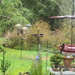 Huge yard sale!!!!! Comics plants cook ware