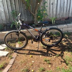 Schwinn Ranger
