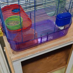 Hamster Cage And Stuff