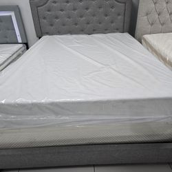 Queen Sizes Bed With Mattress 